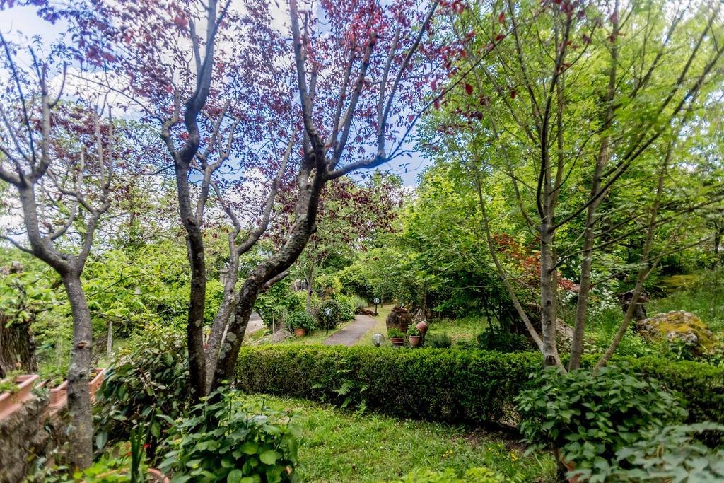 Bed and Breakfast Il Boschetto Di Castagni Soriano nel Cimino Exterior foto